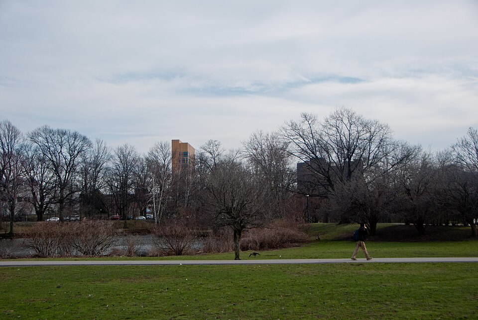 A photograph of Back Bay Fens