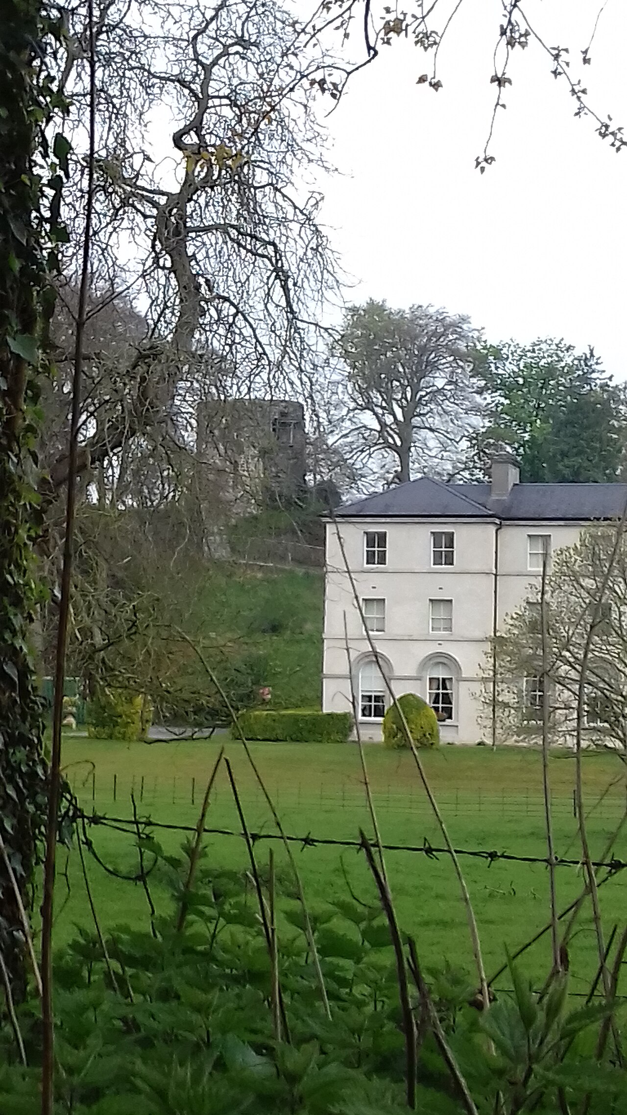 Una fotografia di Castleknock Castle