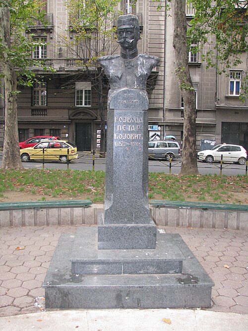 Bista vojvode Petra Bojovića