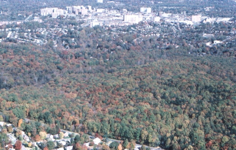 A photograph of Rock Creek Park