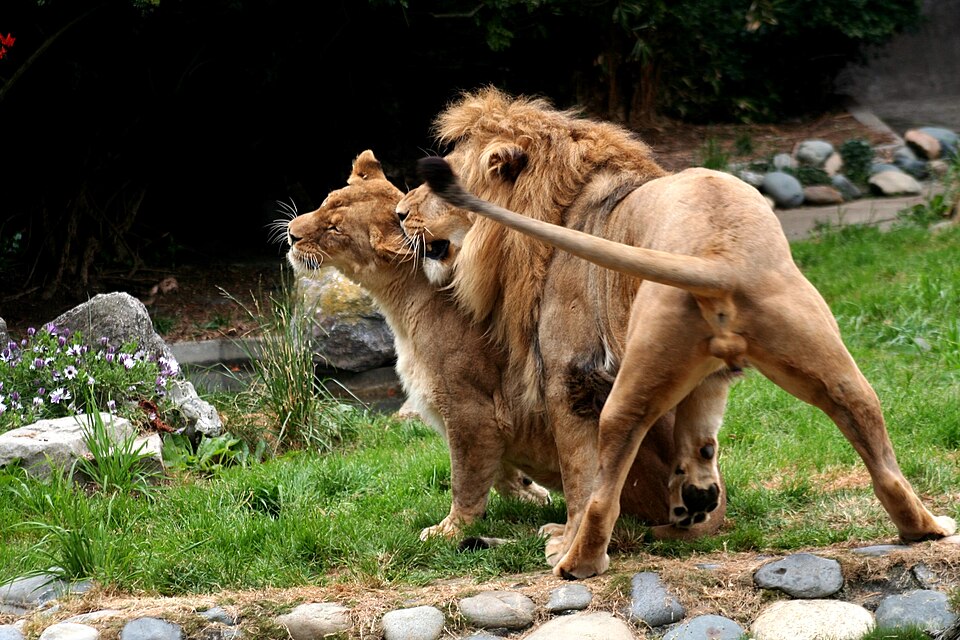 A photograph of San Francisco Zoo