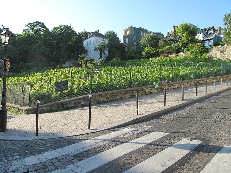 A photograph of Vignes de Montmartre