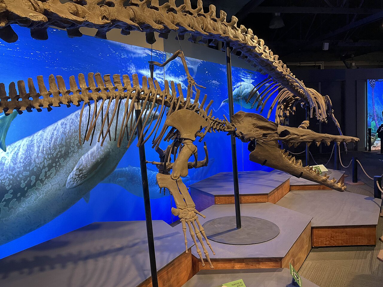 A photograph of Vancouver Aquarium