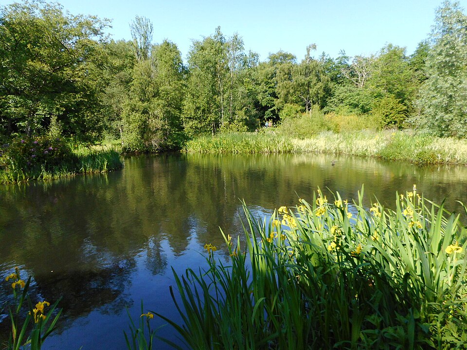 A photograph of Springburn Park