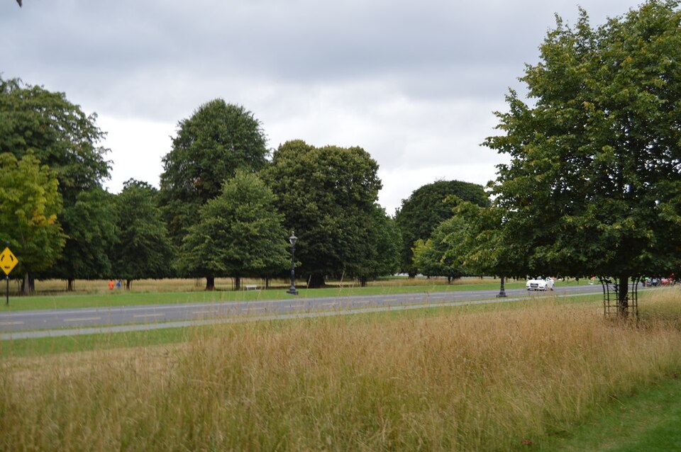 A photograph of Phoenix Park