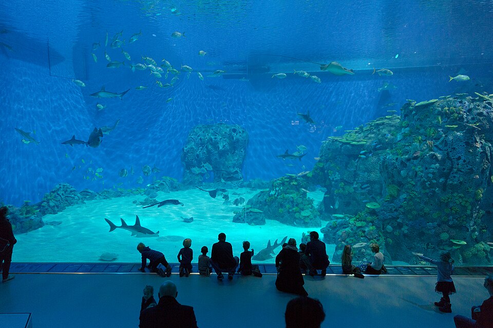 A photograph of The Blue Planet