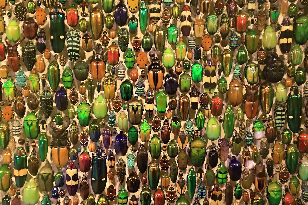 new Insectarium of Montreal