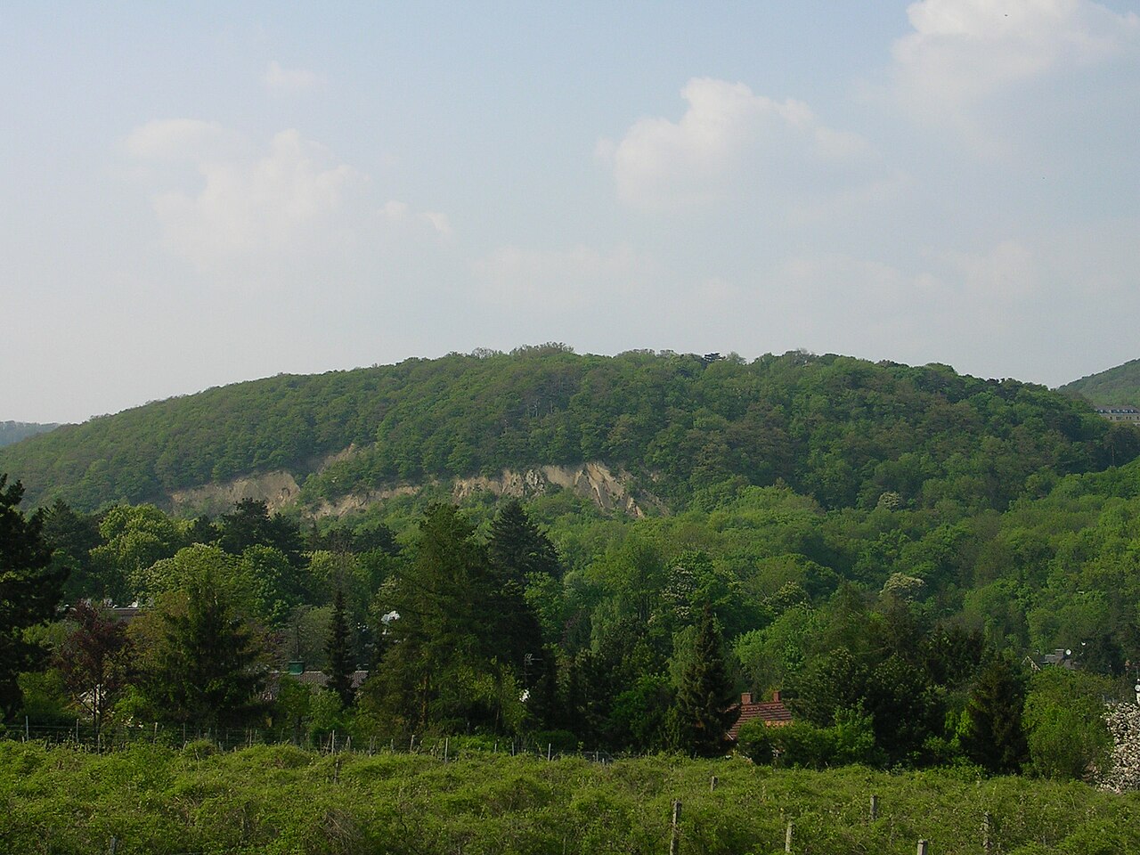 Pfaffenberg fotoğrafı