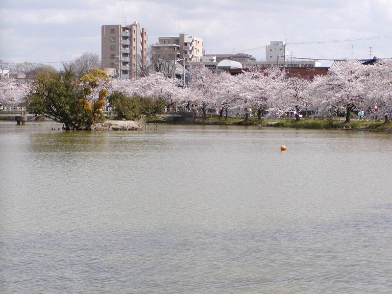 Mandaiike Park