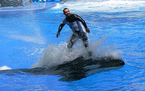 SeaWorld Orlando