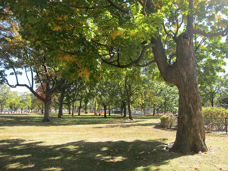 A photograph of Cambridge Common