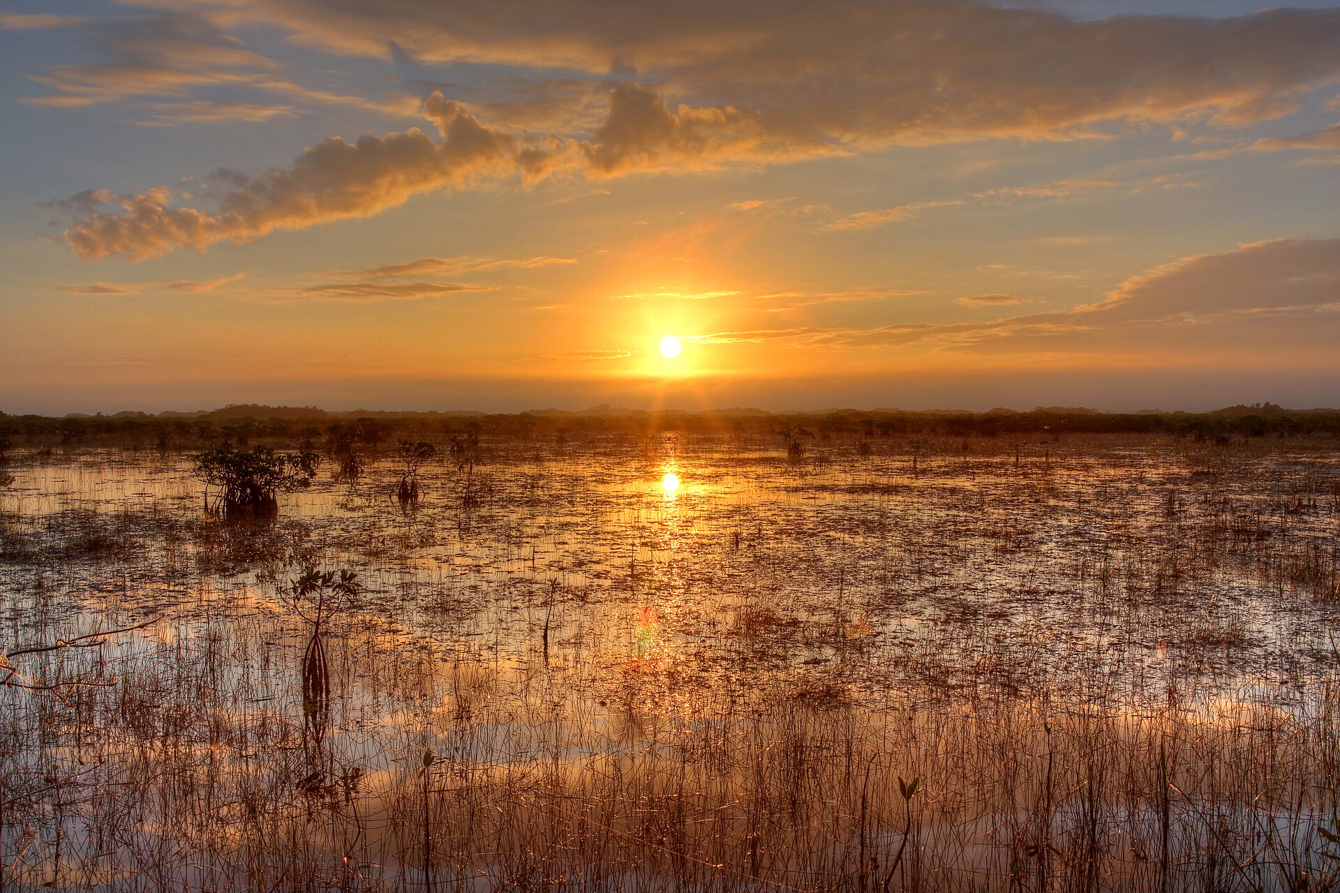 Everglades National Park의 사진
