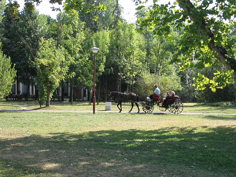 A photograph of Topčider