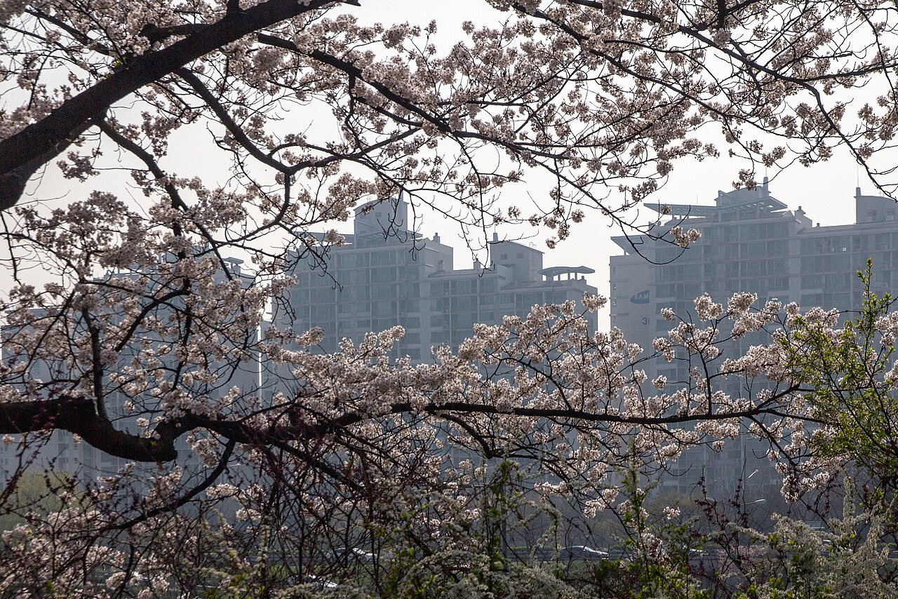Yeouido Park fotoğrafı