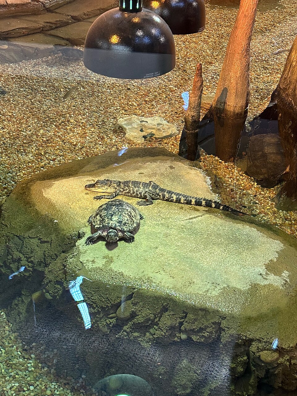 A photograph of Orlando Science Center
