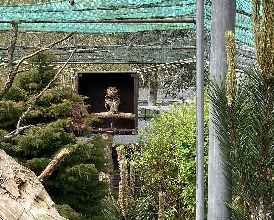 A photograph of Golders Hill Park Zoo