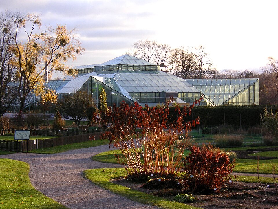 A photograph of Bergian botanic garden