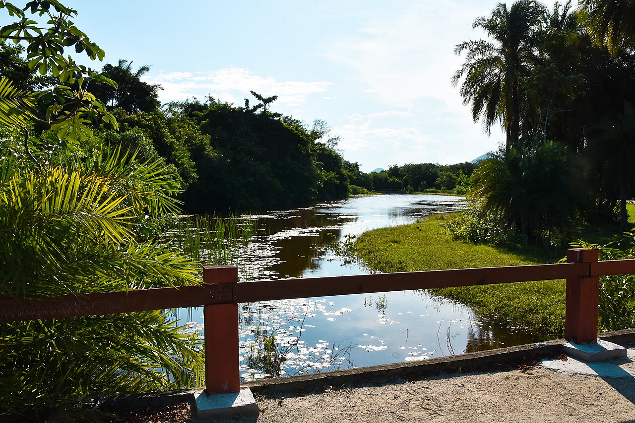 Bosque da Barra の写真