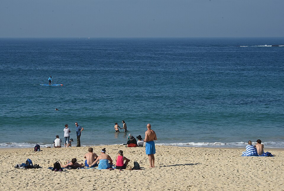 A photograph of Coogee Beach