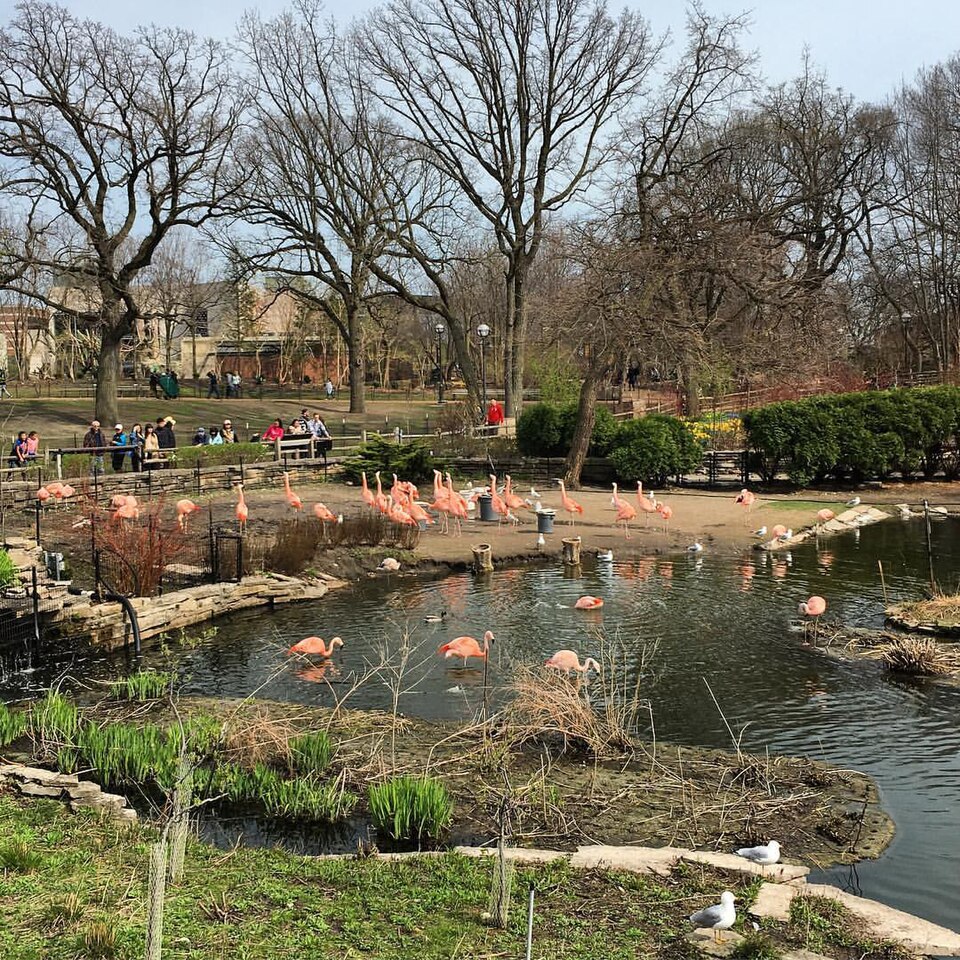 A photograph of Lincoln Park Zoo