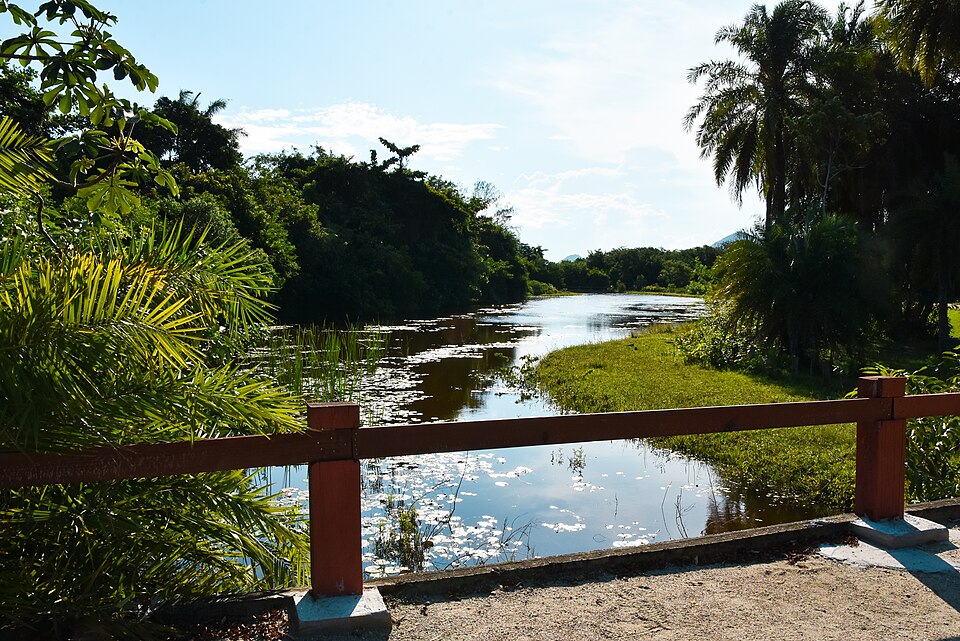 A photograph of Bosque da Barra