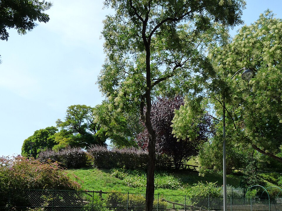 A photograph of square Henri-Karcher