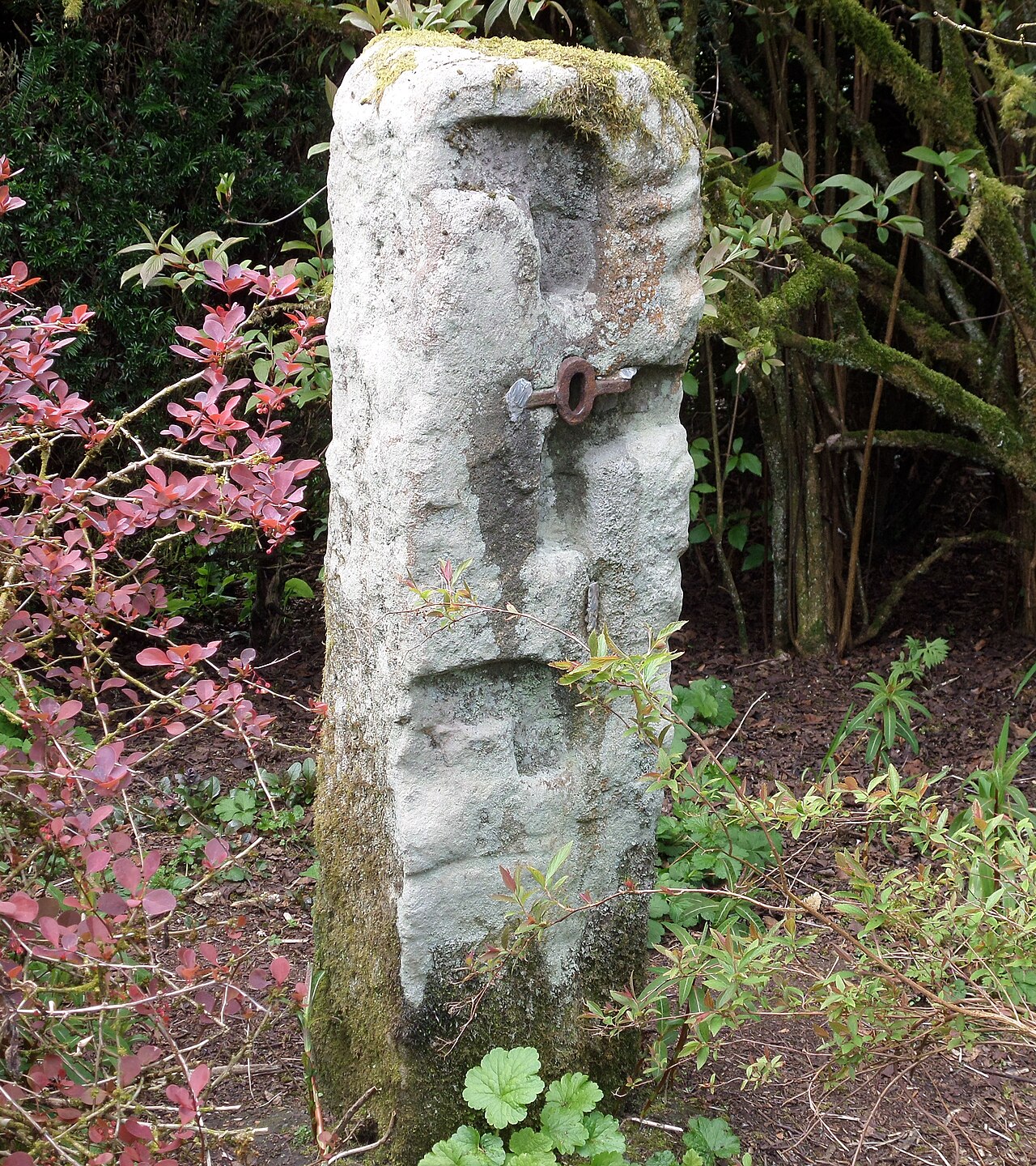Greenbank Garden の写真