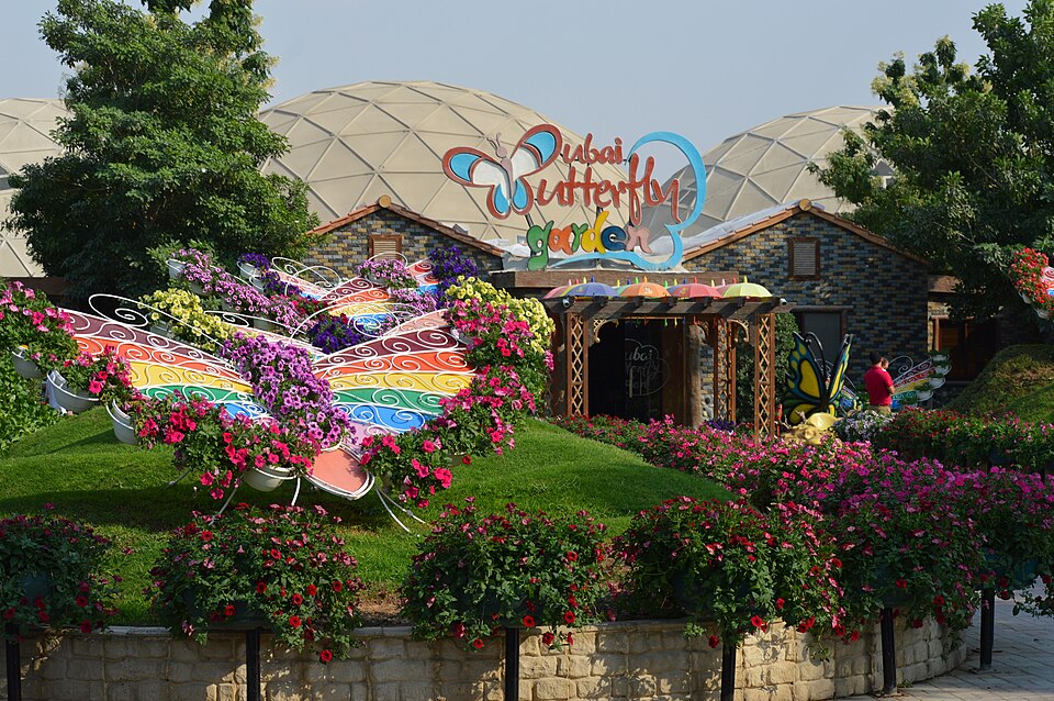 A photograph of Dubai Butterfly Garden
