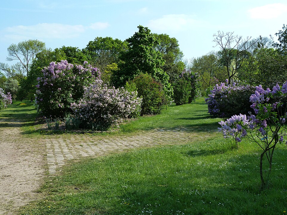 A photograph of Arboretum de l'École du Breuil