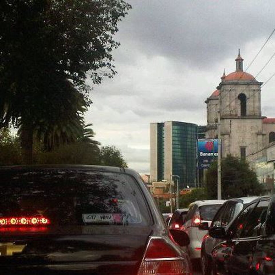 A photograph of Polanco