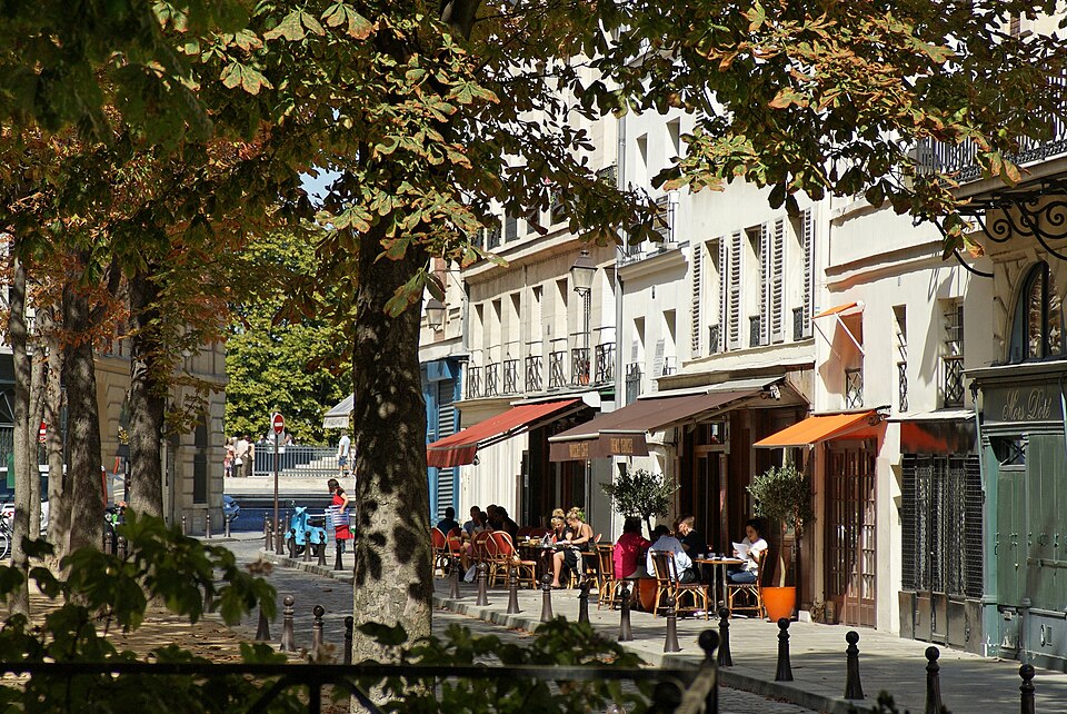 A photograph of place Dauphine