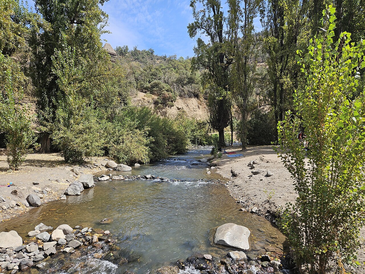 A photograph of Santuario de la Naturaleza El Arrayán