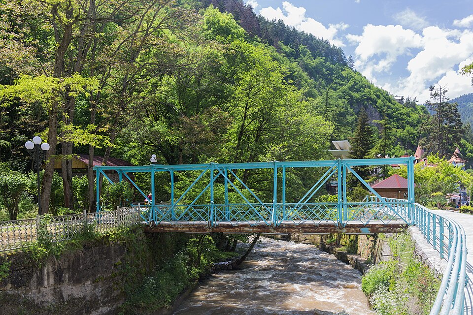 A photograph of Merkez Park