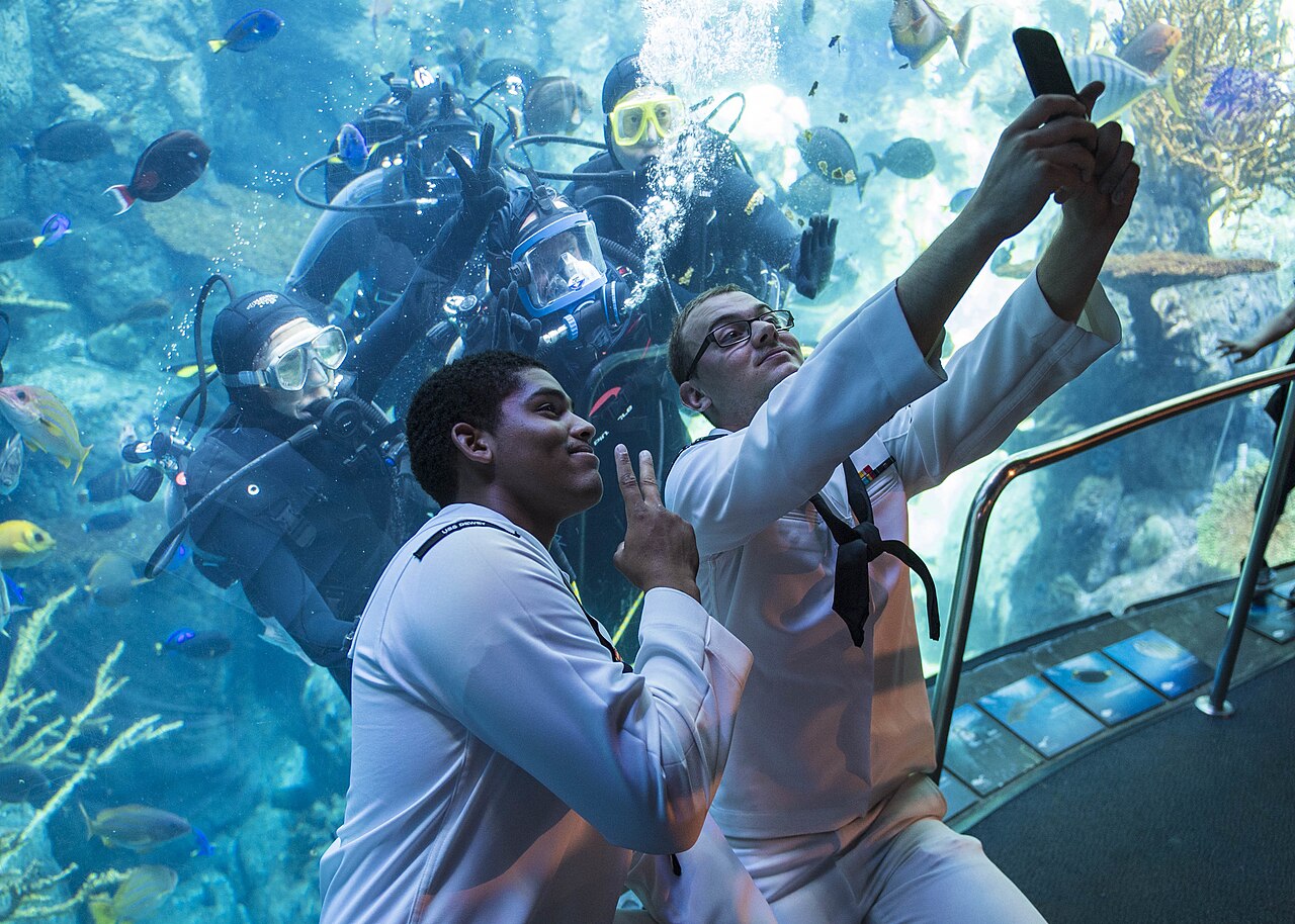 صورة Aquarium of the Pacific