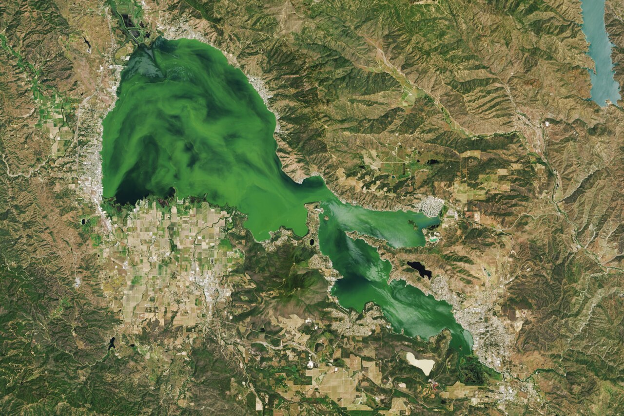 A photograph of Clear Lake