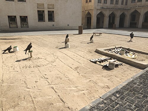 Falcon Souq