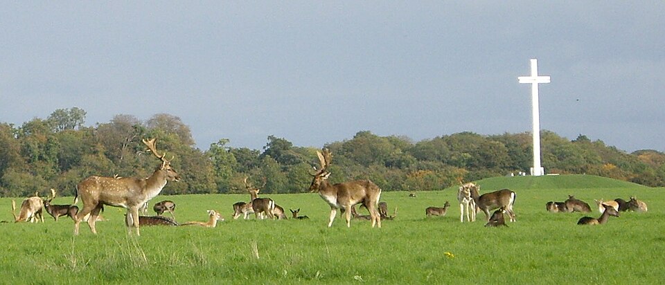 A photograph of Phoenix Park