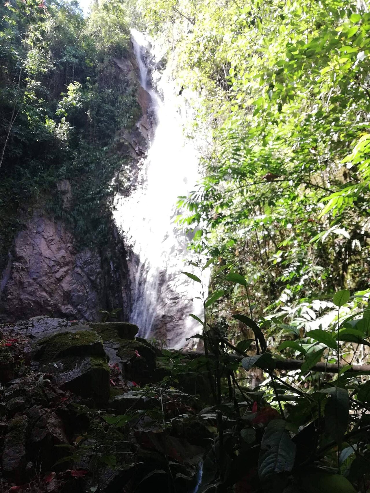 Cataratas las Tres Hermanas の写真
