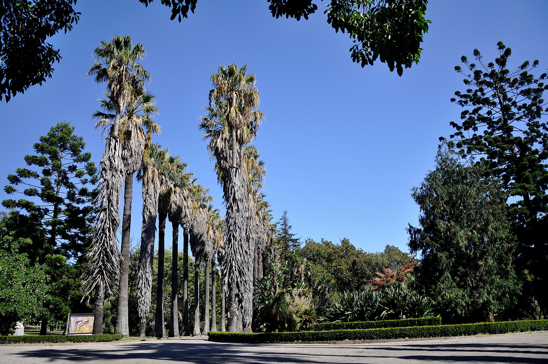 Jardim Botânico Tropical