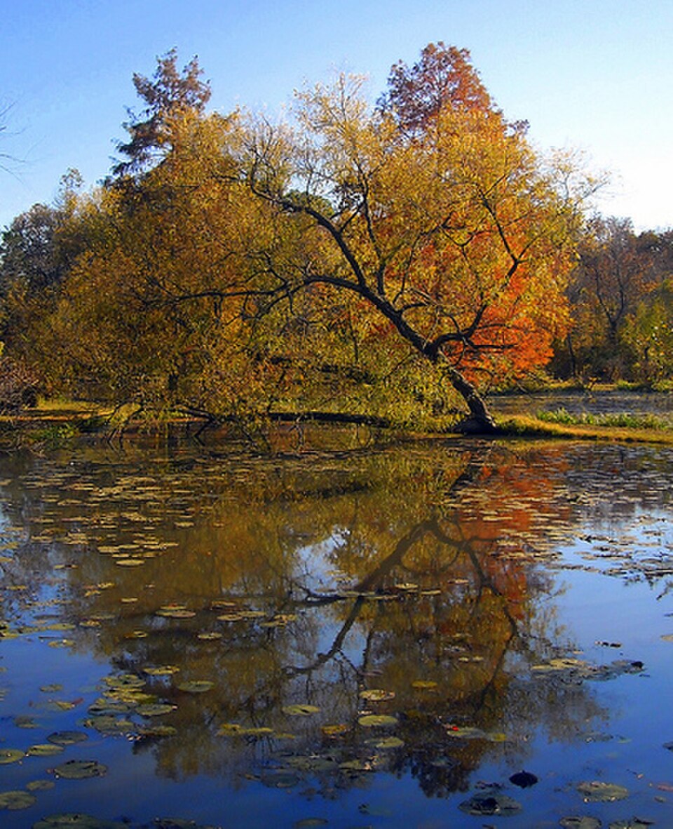 A photograph of Kenilworth Park and Aquatic Gardens