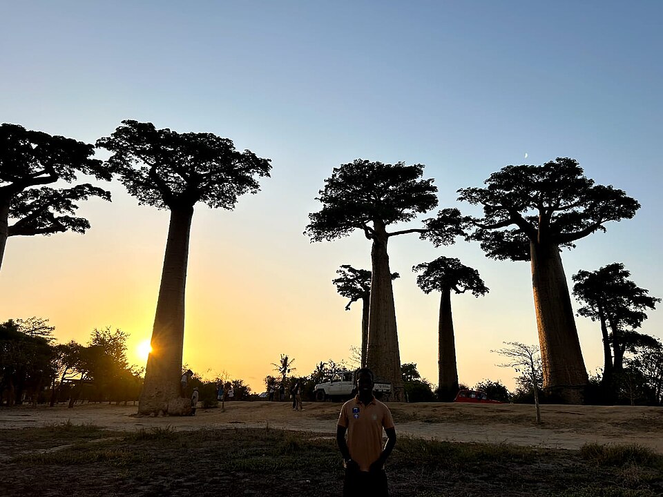 A photograph of Madagascar