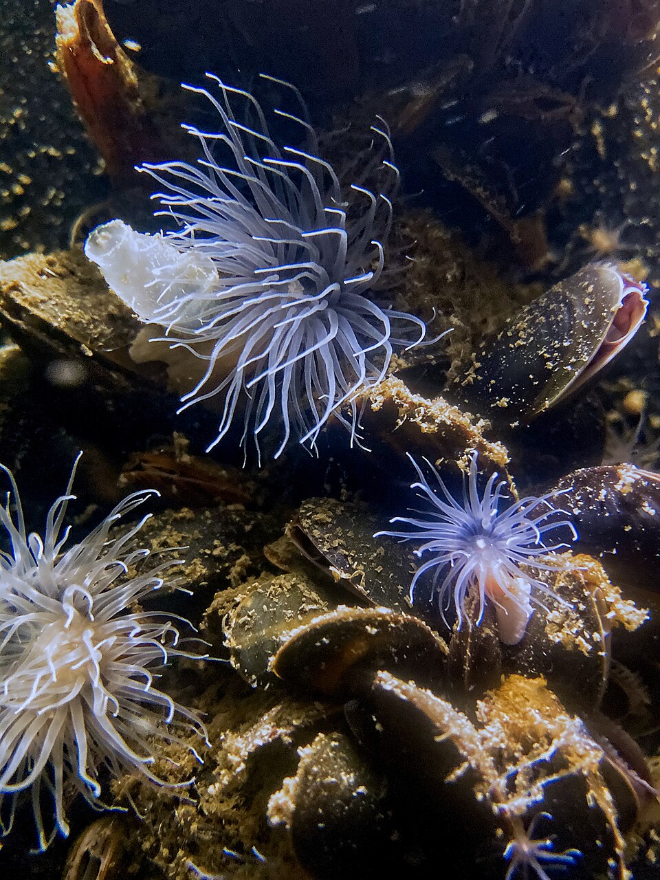 A photograph of New England Aquarium