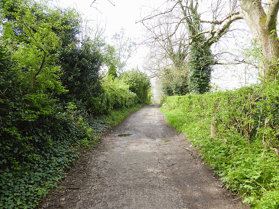 A photograph of Debdale Park
