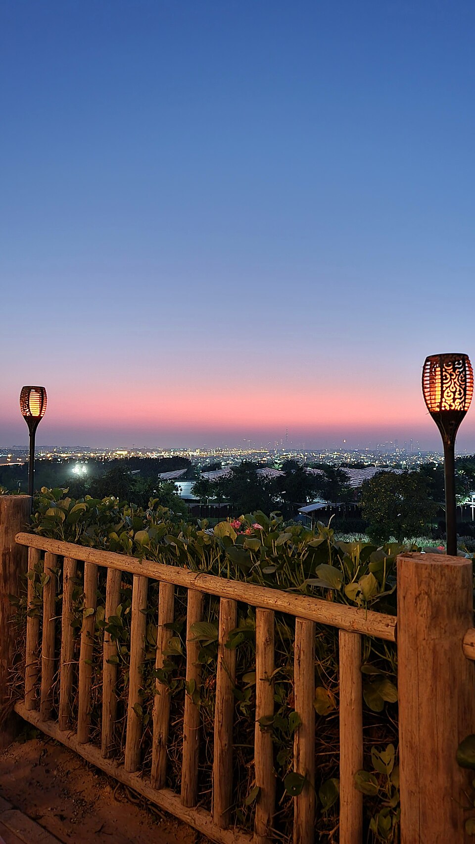 A photograph of Dubai Safari Park