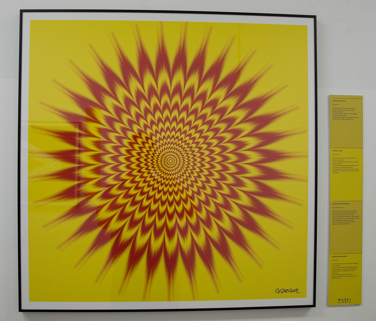 Museum of Illusions
