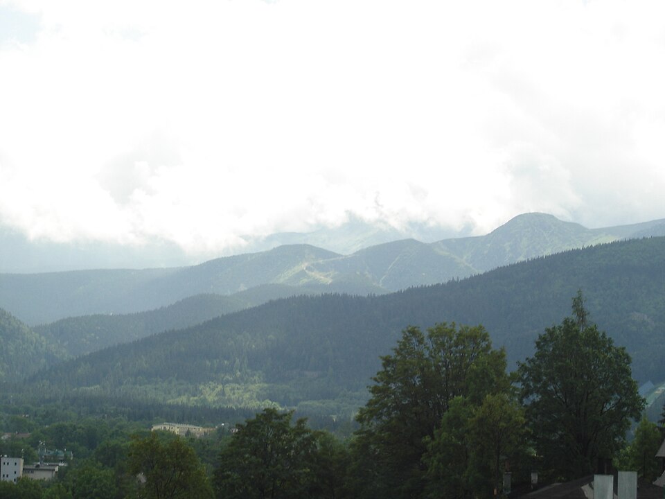 A photograph of Kopa