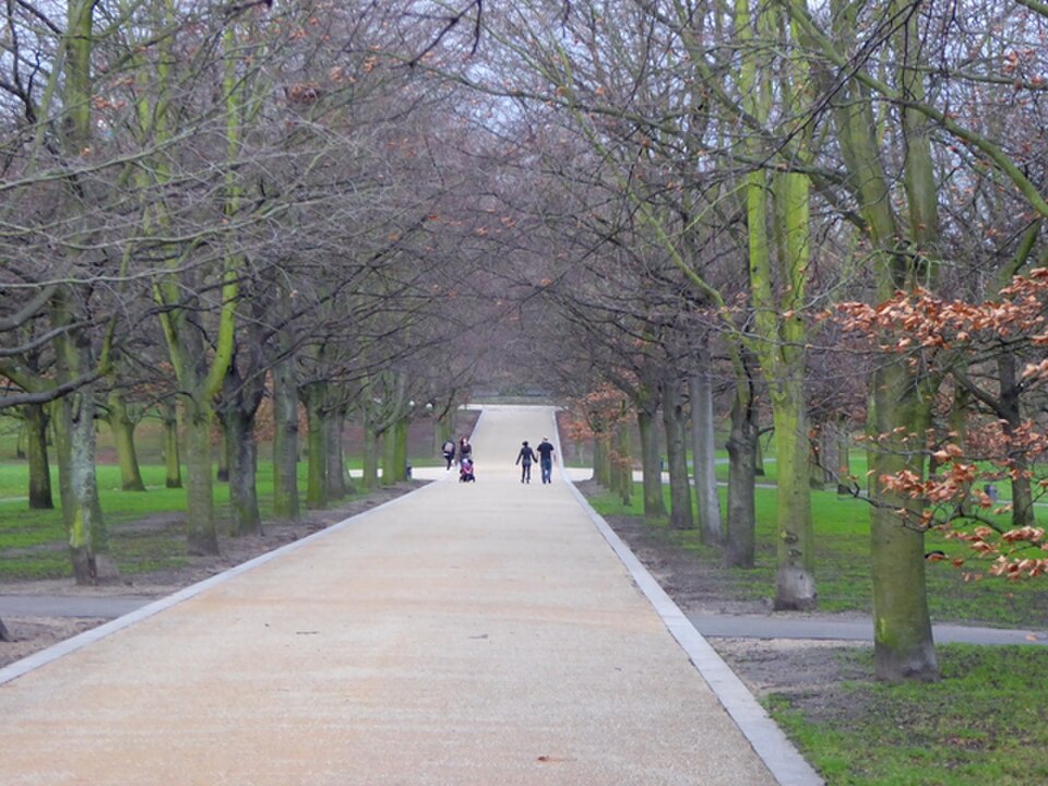 A photograph of Greenwich Park