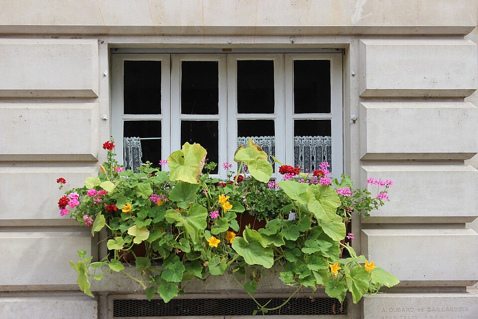 A photograph of place Dauphine
