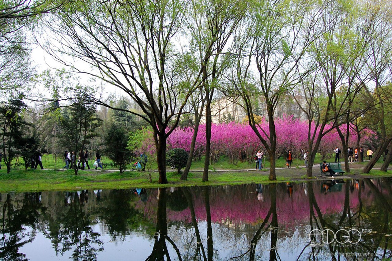 Gongqing Forest Park fotoğrafı