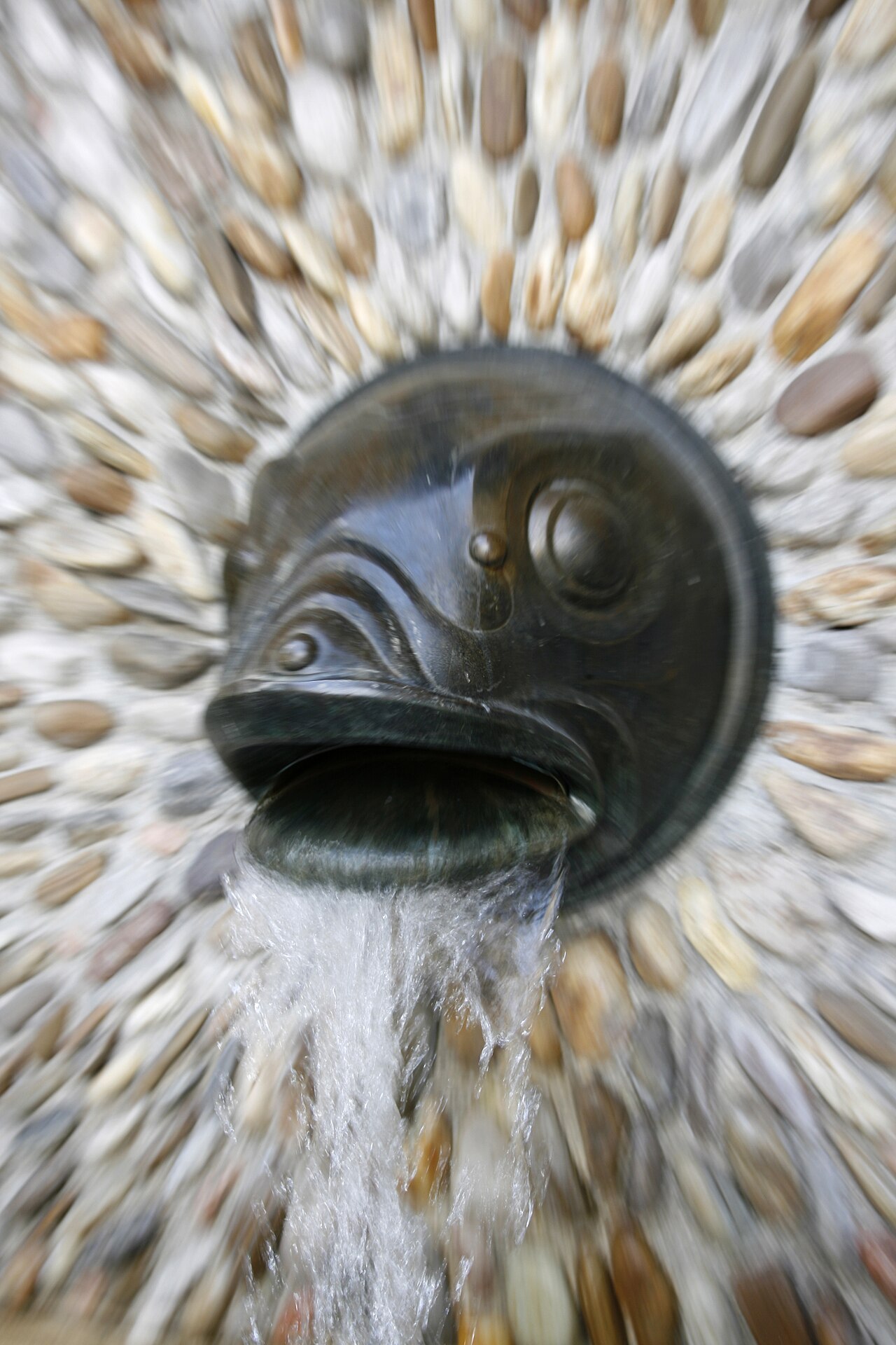 Strudlhofstiege fotoğrafı